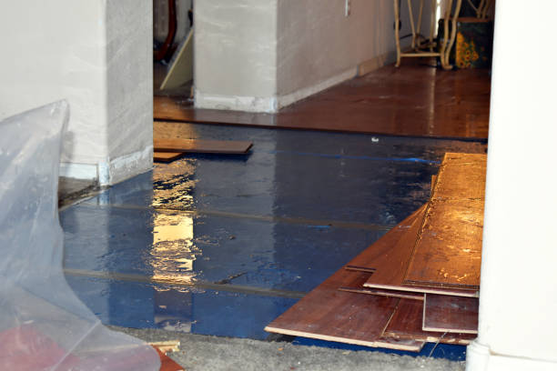 Professional Basement Flood Cleanup technician working in Brookston, IN